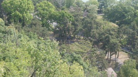 Bárkám türelmesen várakozik