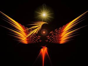 20170411 - Üzenet #5 (főnix madár)